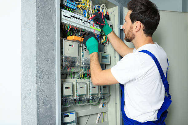 Best Electrical Upgrades for Homes  in Palmetto, FL